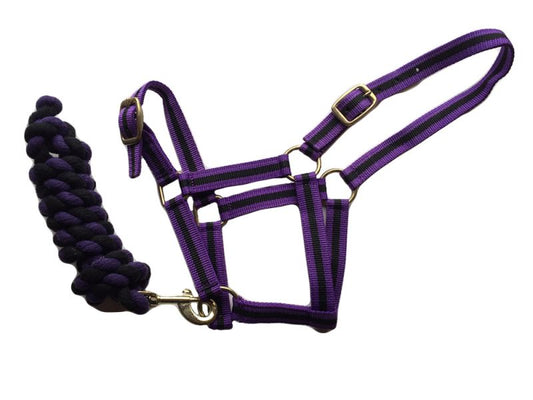 Harlequin Headcollar And Rope Set