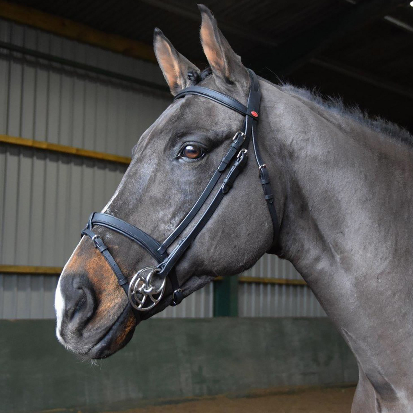 Whitaker Ready To Ride - Snaffle Bridle