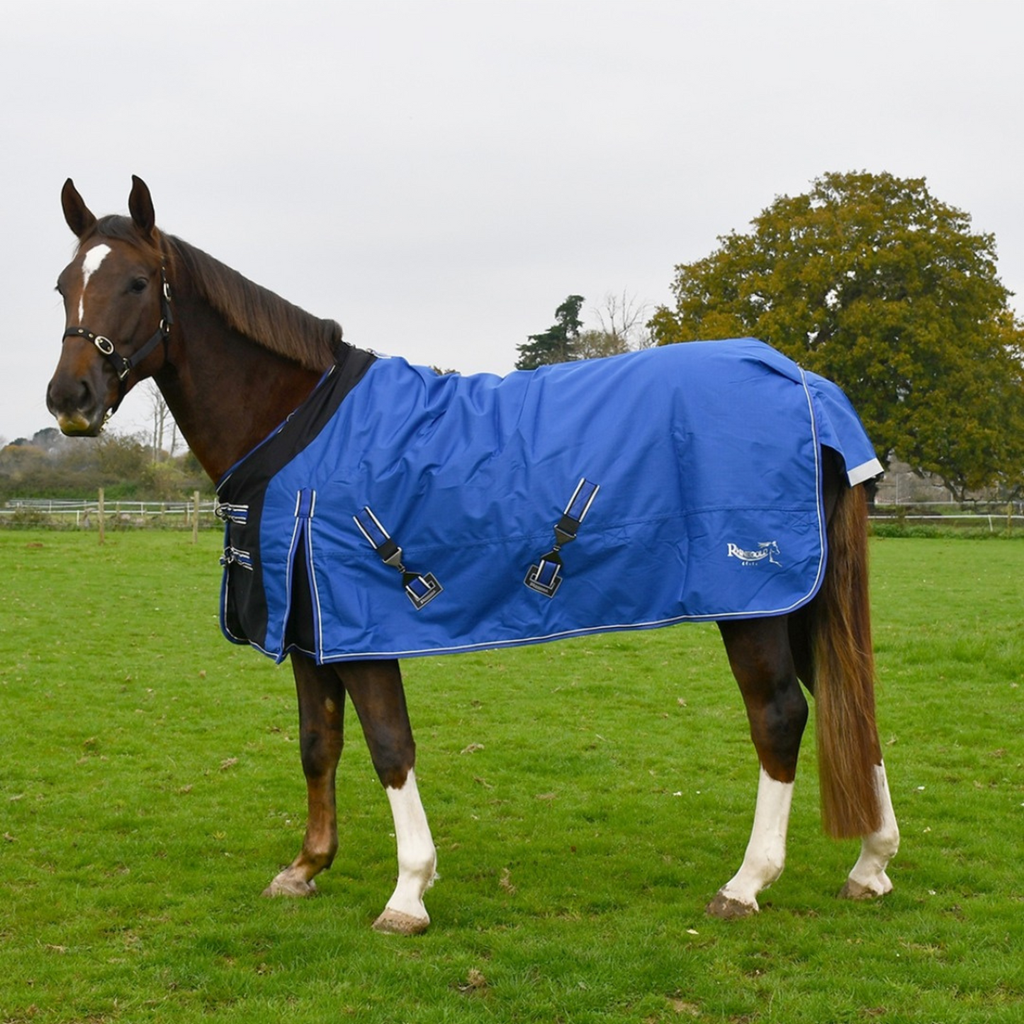 Elite Storm Outdoor Rug With Stretch Chest Panel. Neck Cover Included