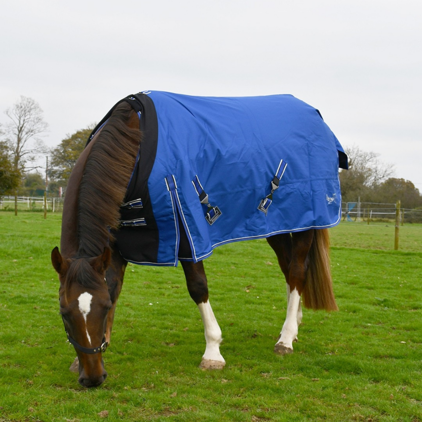 Elite Storm Outdoor Rug With Stretch Chest Panel. Neck Cover Included