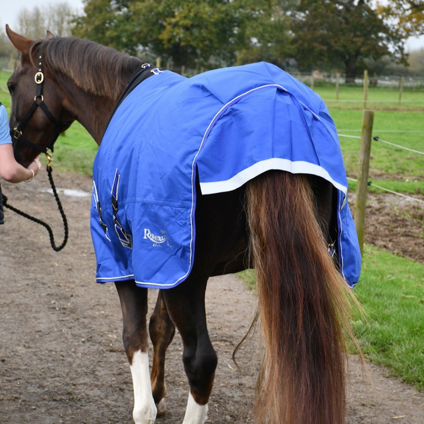 Elite Storm Outdoor Rug With Stretch Chest Panel. Neck Cover Included