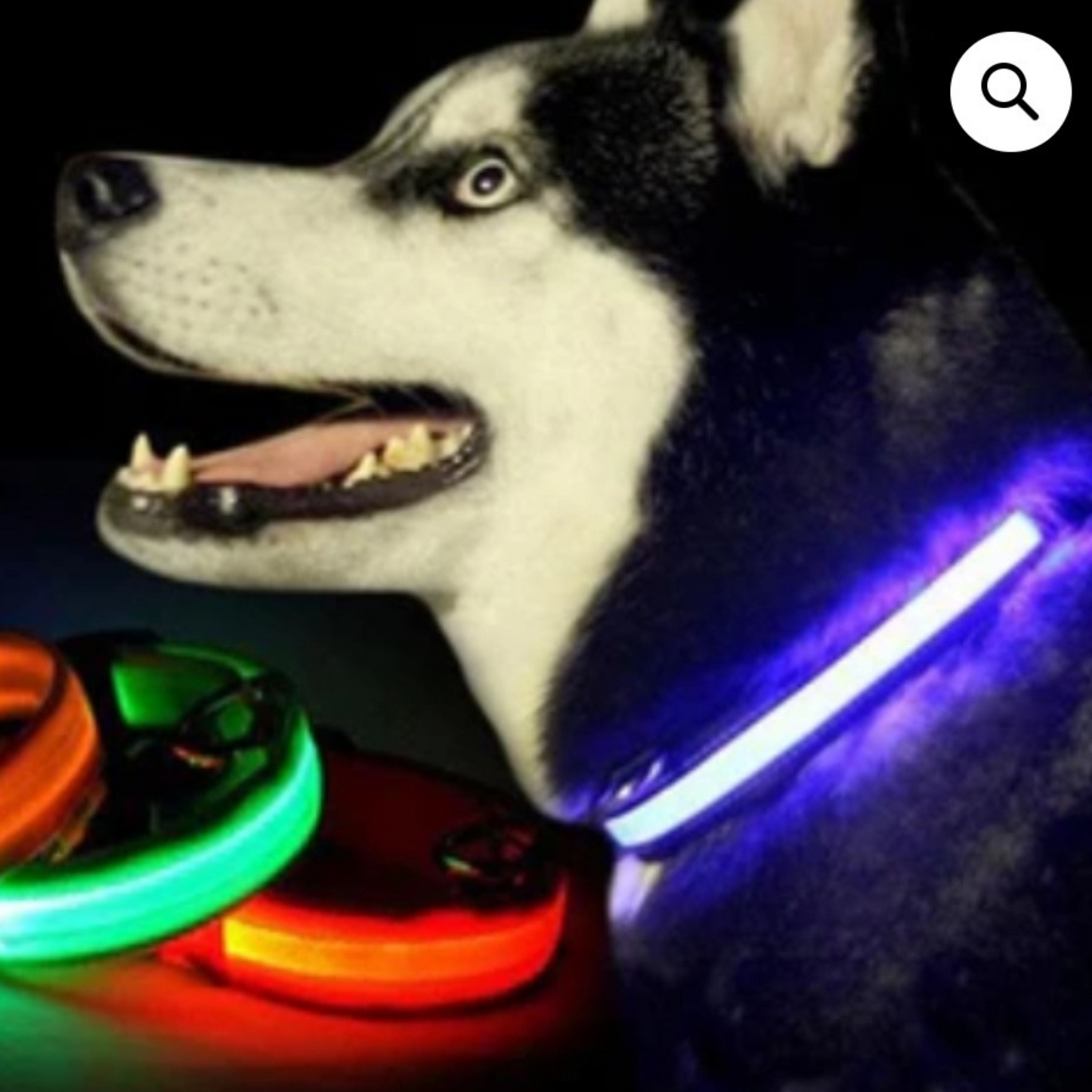 LED Flashing Dog Collar - Blue