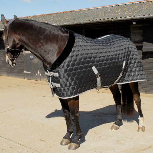 Michigan Hexagon Stable Rug - With Faux Fur Collar