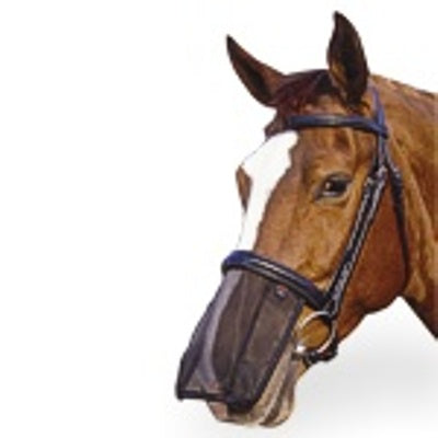 Aerborn Noseshield – Small Pony